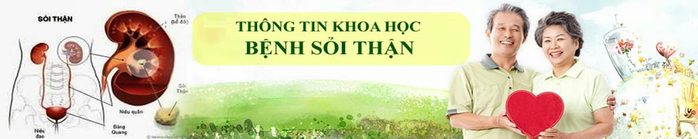 Diện tích 998x200px