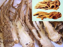 bài thuốc hay chữa vô sinh nữ