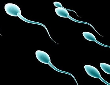 Môi trường sống làm yếu tinh trùng gây vô sinh