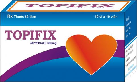 TOPIFIX CAP