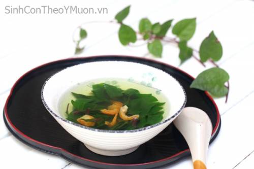 THẦN DƯỢC CHỮA TRỊ VÔ SINH