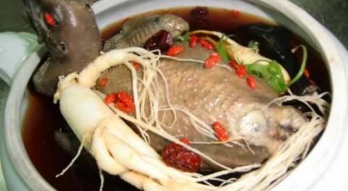 8 bài thuốc hâm nóng phòng the từ gà