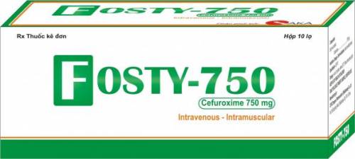 FOSTY-750 INJECTION